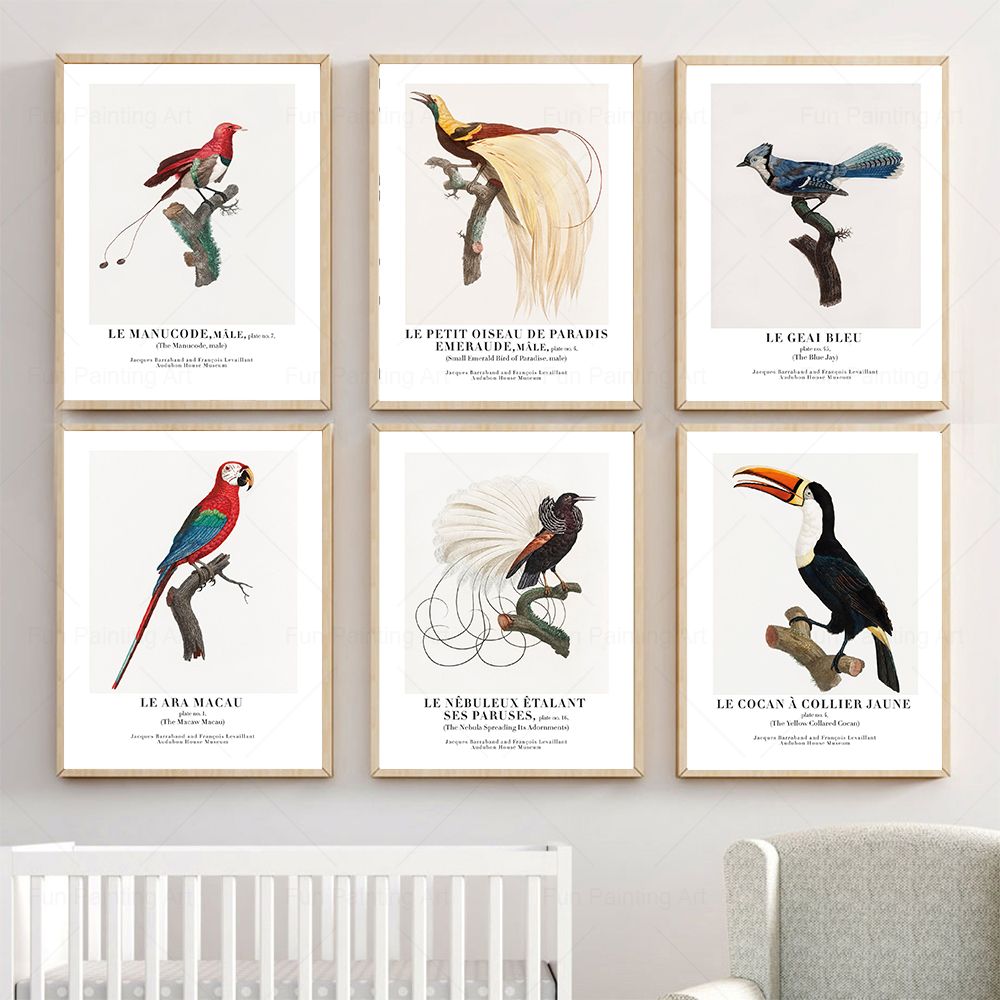 Furniture Paradise & Hardware Ghaziabad By Owner - Vintage Paradise Bird Wall Art Canvas