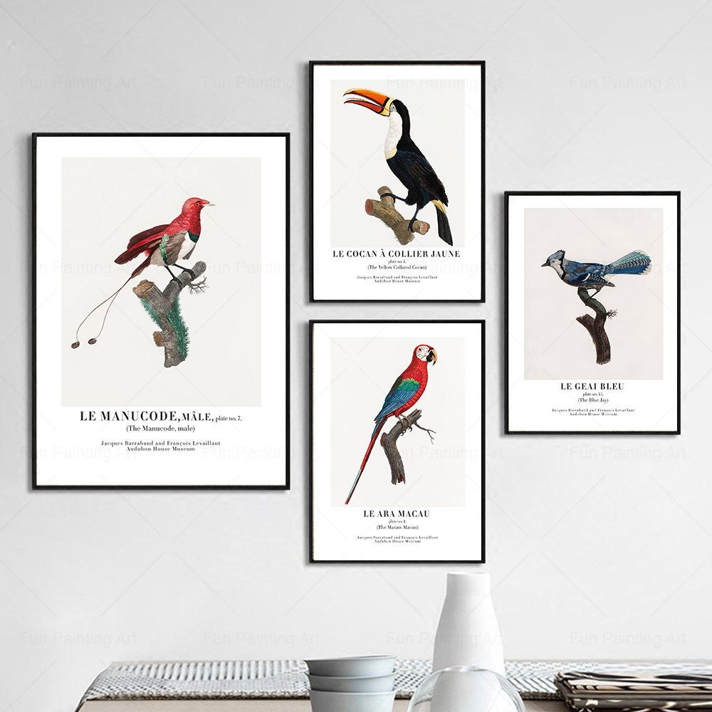 Vintage Paradise Bird Wall Art - Furniture Paradise & Hardware Ghaziabad By Owner review and price