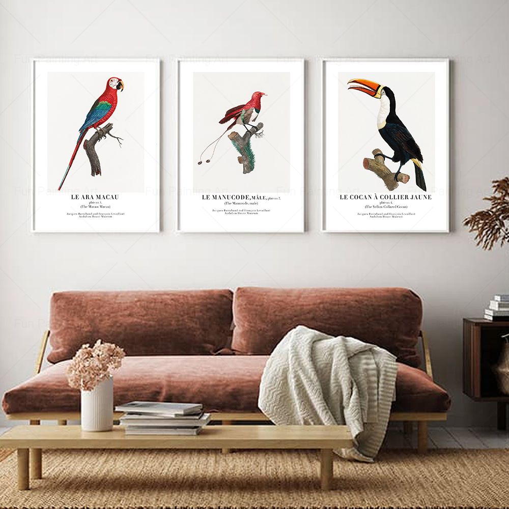 Vintage Paradise Bird Wall Art - Furniture Paradise & Hardware Ghaziabad By Owner review and price