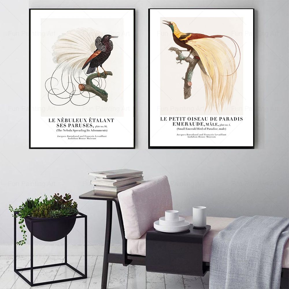Vintage Paradise Bird Wall Art - Furniture Paradise & Hardware Ghaziabad By Owner review and price