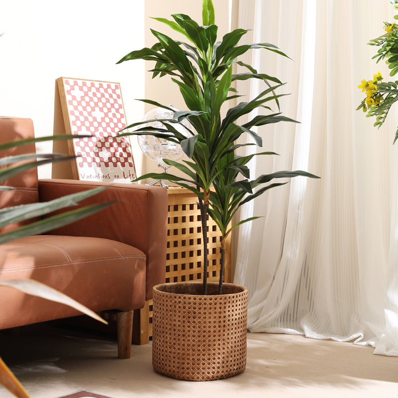 Furniture for small-sized apar - Furniture Paradise & Hardware Ghaziabad By Owner review and price